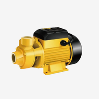 Elettropompa 750 W (1 HP) – Potenza affidabile per ogni applicazione