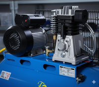 Couroie Compresseur d’air 100 L - 2hp, robuste et performant